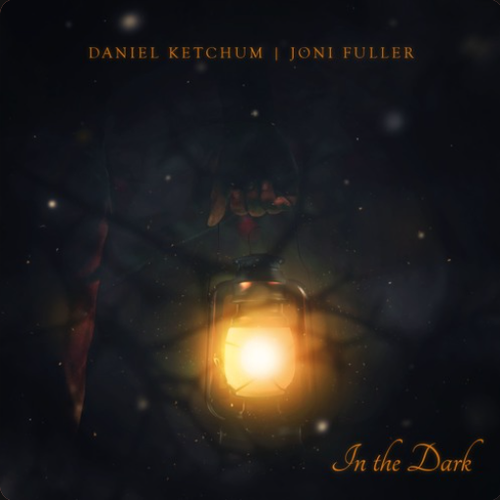 In the Dark Album Cover